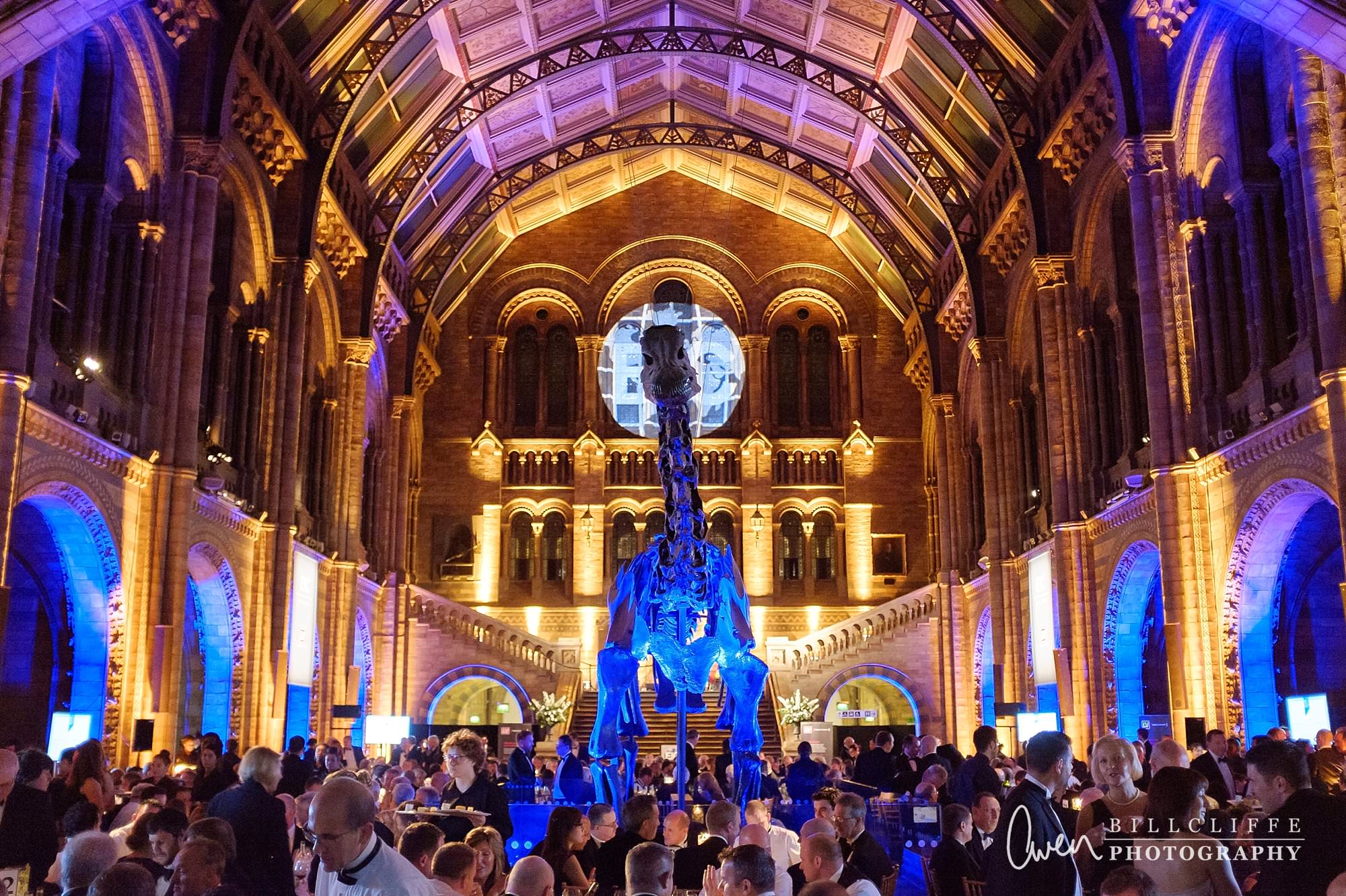 london event photographer natural history museum dippy 002 - Celebrating Dippy at The Natural History Museum