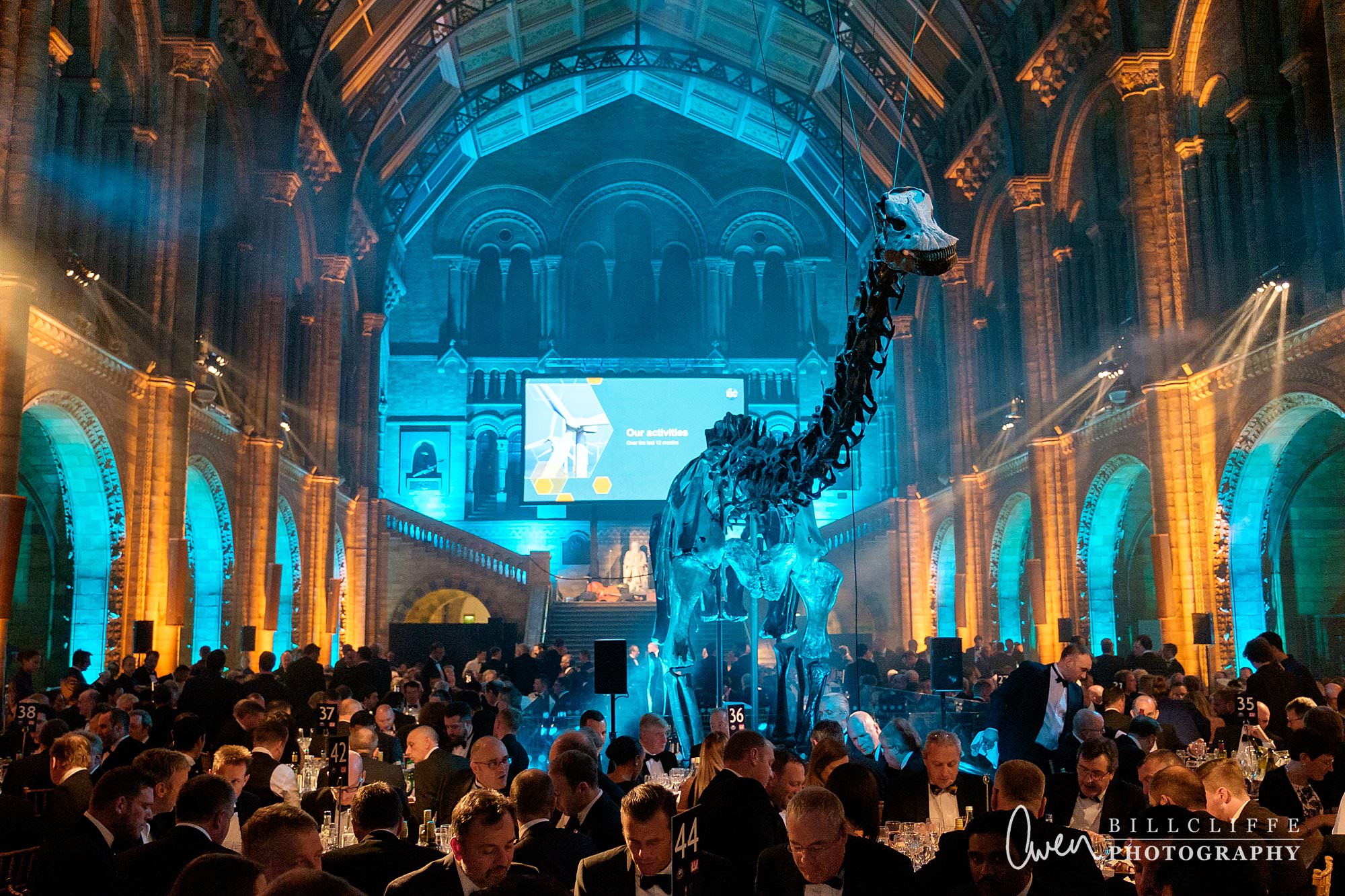 london event photographer natural history museum dippy 003 - Celebrating Dippy at The Natural History Museum